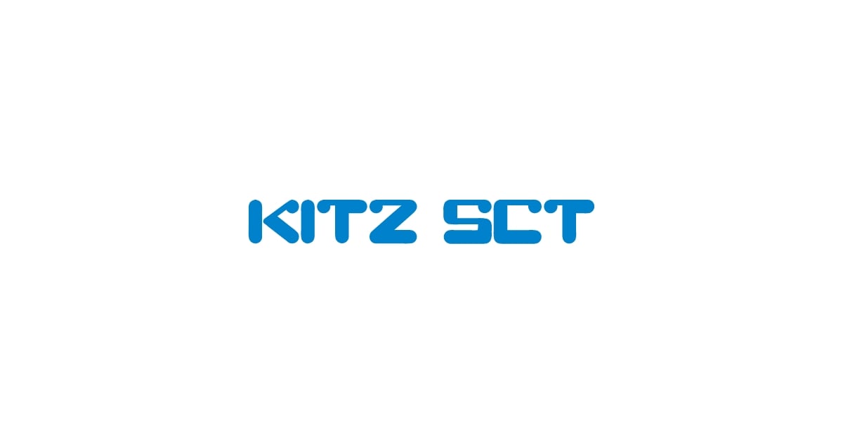 人気特価激安 PST キッツ ソケット KITZ 100A 木材・建築資材・設備